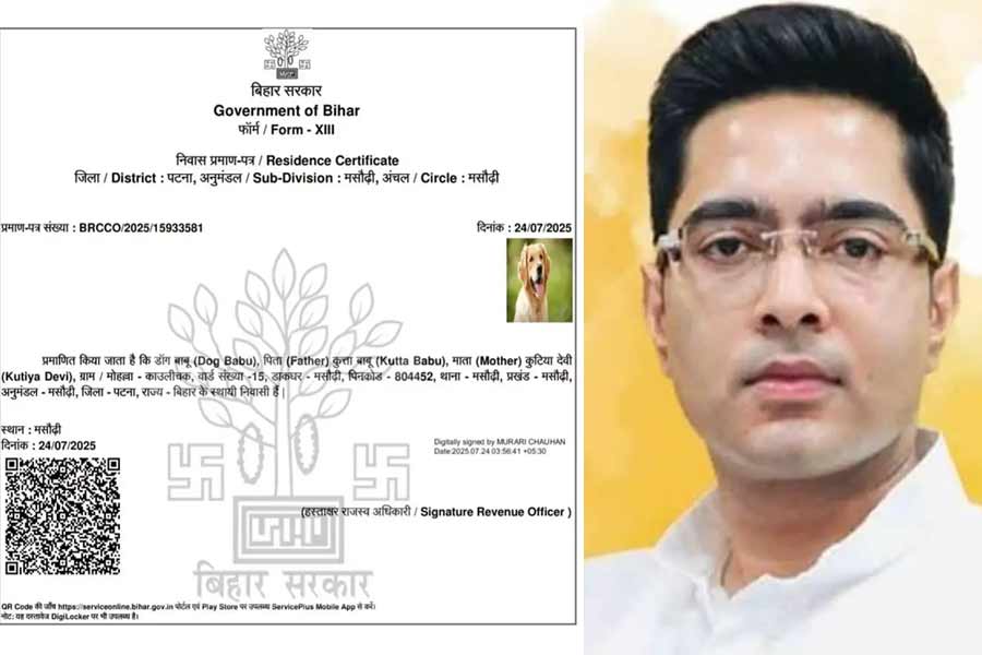 বিহারে ‘ডগ বাবু’র রেসিডেন্সিয়াল সার্টিফিকেট! কমিশনকে তোপ অভিষেকের