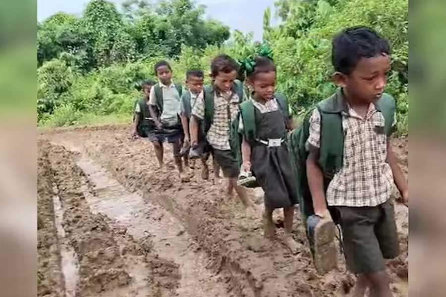 রাস্তা না খেত! অন্ধ্রপ্রদেশে ৩ কিলোমিটার কাদা পেরিয়ে নিত্য যাতায়াত আদিবাসী পড়ুয়াদের