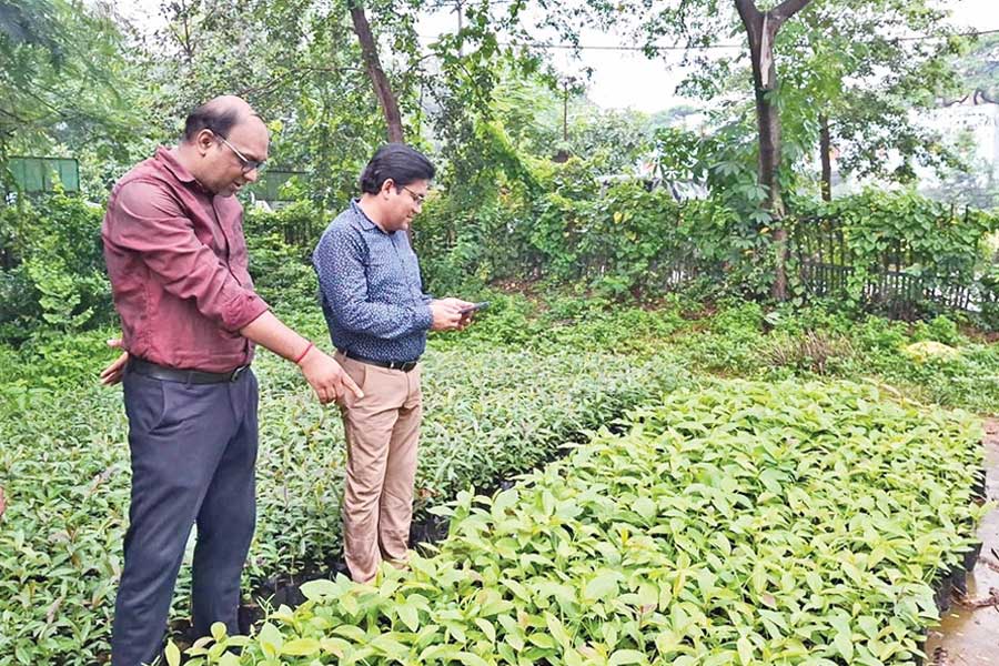 শহরের নামকরণে ‘আসান’ গাছ, ইতিহাসের খোঁজে আসানসোল বি বি কলেজ