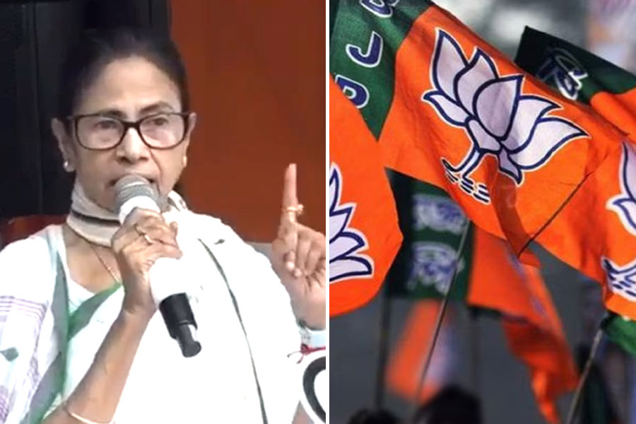 ‘সব ভাষাকেই সম্মান করি’, বিজেপিকে ভাষা সাম্যবাদ শেখালেন মমতা