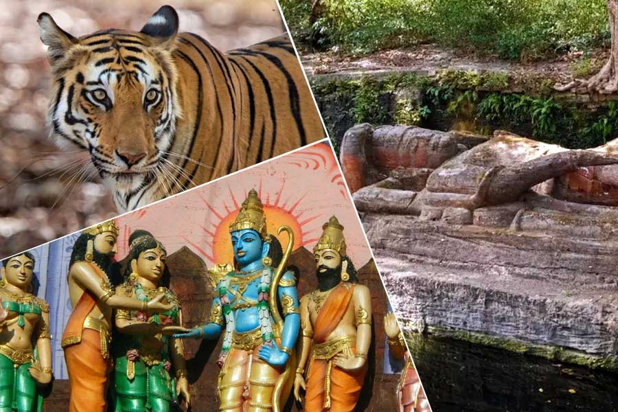 শ্রীরামের পদধূলি পড়েছিল দেশের এই অভয়ারণ্যে, ঘুরতে যাওয়ার আগে জানুন সেই কাহিনি