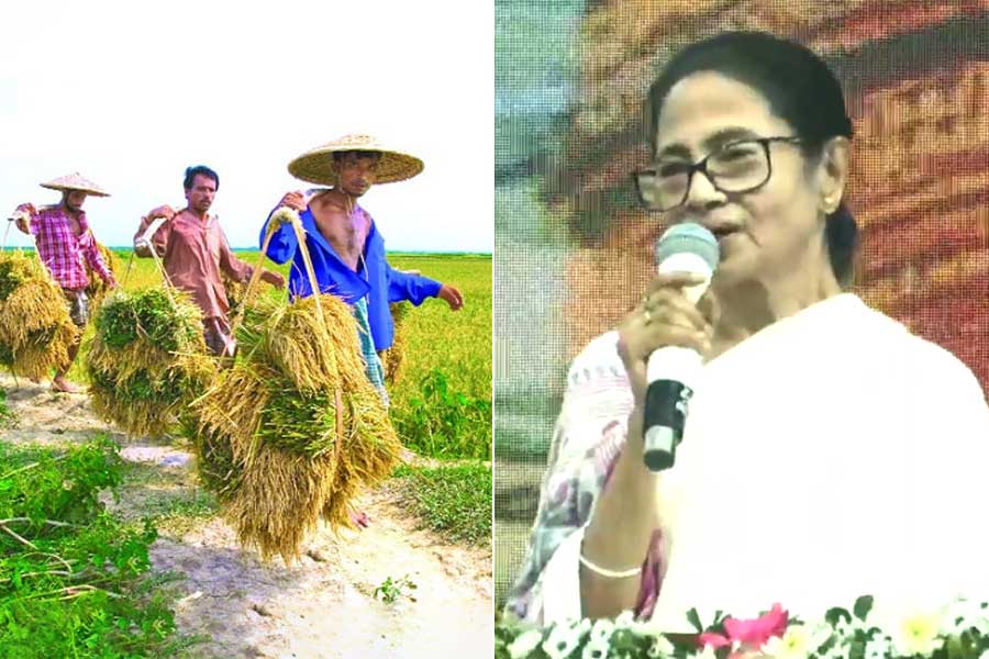 ‘কৃষকরা আমাদের সম্পদ’, কৃষকবন্ধু প্রকল্পে চাষিদের অর্থদানের ঘোষণা মুখ্যমন্ত্রীর