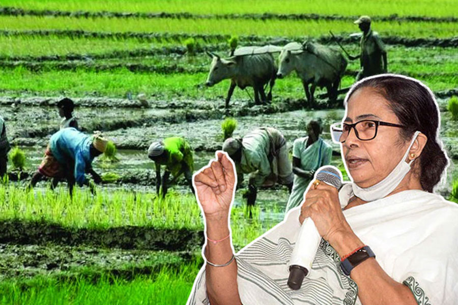 রেকর্ড ধান উৎপাদন রাজ্যে, কৃষকদের কুর্নিশ জানিয়ে পোস্ট মুখ্যমন্ত্রীর