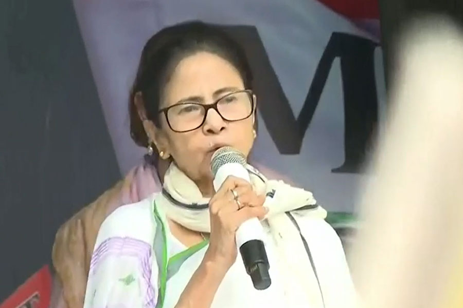 বাঙালি হেনস্তায় পথে মমতা, ‘সতর্ক করে গেলাম, যদি না থামেন…’, কেন্দ্রকে হুঁশিয়ারি ‘দিদি’র