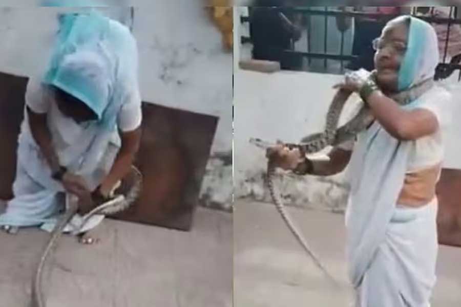খালি হাতেই সাপ ধরে গলায় জড়ালেন সত্তরোর্ধ্ব বৃদ্ধা, তারপর কী ঘটল? দেখুন ভিডিও