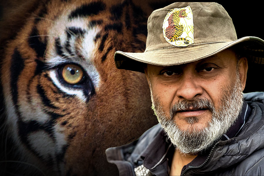 মানুষের আগ্রাসনে বিপন্ন পশুরাজের ঘর, বাঘ দিবসে সংরক্ষণের আর্জি ব্যাঘ্রপ্রেমী জয়দীপ কুণ্ডুর