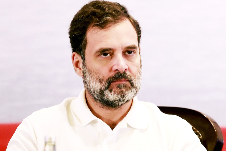 ‘রাহুল গান্ধী দ্বিতীয় আম্বেদকর’ মন্তব্য কংগ্রেস নেতার, ‘দলিতদের অপমান’, পালটা বিজেপির