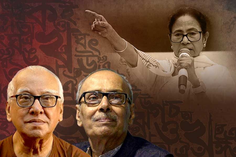 ভাষা আন্দোলনের ডাক মমতার, কী বলছেন সাহিত্যিকরা?