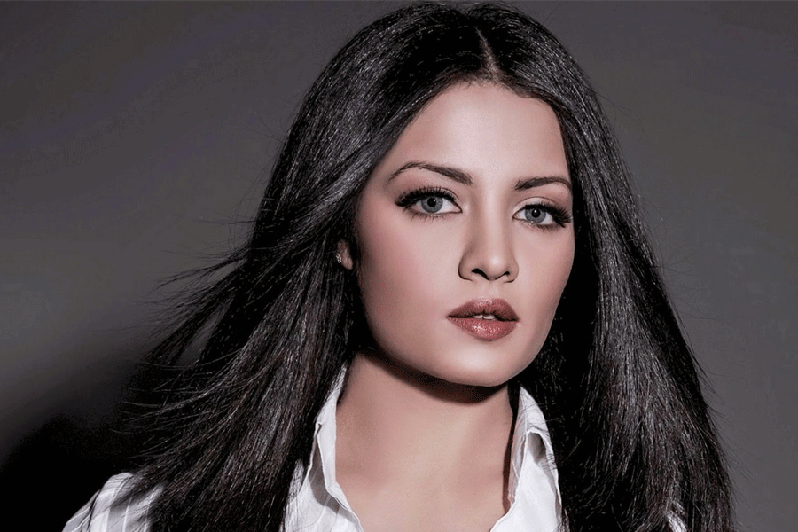 ১৪ বছর পর বলিউডে কামব্যাক সেলিনা জেটলির! কবে পর্দায় দেখা দেবেন নায়িকা?