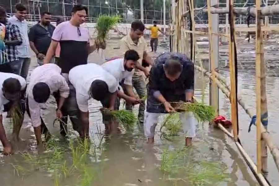 মোদির সভার পরে বেহাল দুর্গাপুরের নেহরু ময়দান, ধানের চারা পুঁতে প্রতিবাদ তৃণমূলের