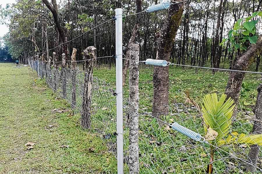 হাতির হানাদারি বন্ধে সৌরবিদ‌্যুতের বেড়া, জলপাইগুড়ির ছয় রেঞ্জে ৬০ কিমি ফেন্সিং