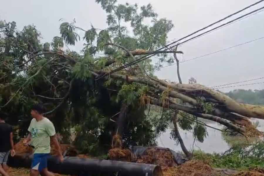 মাত্র তিন মিনিটের প্রলয় ঝড়ে লণ্ডভণ্ড রায়দিঘির দু’টি গ্রাম, চলছে ত্রাণ বিলি ও উদ্ধারকাজ