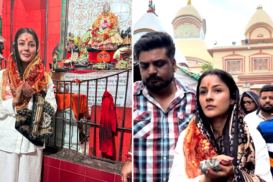 কলকাতায় শুটিংয়ের ফাঁকে কালীঘাটে পুজো দিলেন শেহনাজ, মঙ্গল আরতিও করলেন পাঞ্জাবিকন্যা