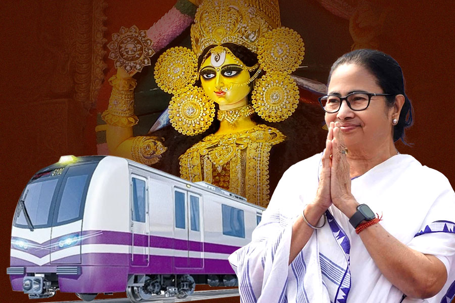 পুজোয় বাড়বে মেট্রোর সংখ্যা? ভিড় এড়াতে বিশেষ নির্দেশ মমতার