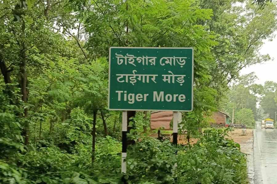 বাঘ নামে বহু জনপদ পুরুলিয়ায়, ‘টাইগার মোড়’-কে স্বীকৃতি পূর্ত দপ্তরেরও