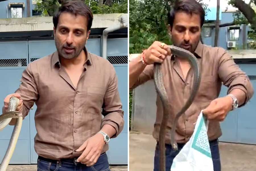খালি হাতে সাপ ধরে ‘হিরোগিরি’ সোনু সুদের, অভিনেতার কীর্তিতে ভয়ে কাঁটা আবাসনের বাসিন্দারা!