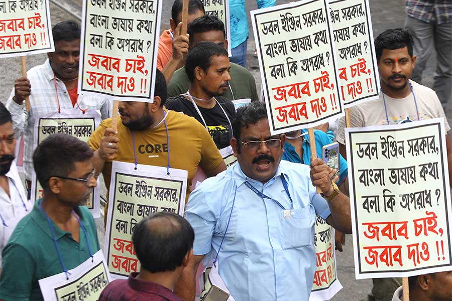 ‘ভাষা আন্দোলনে’ তৃণমূল, আগস্ট থেকে চারমাসের প্রতিবাদ কর্মসূচি প্রকাশ দলের