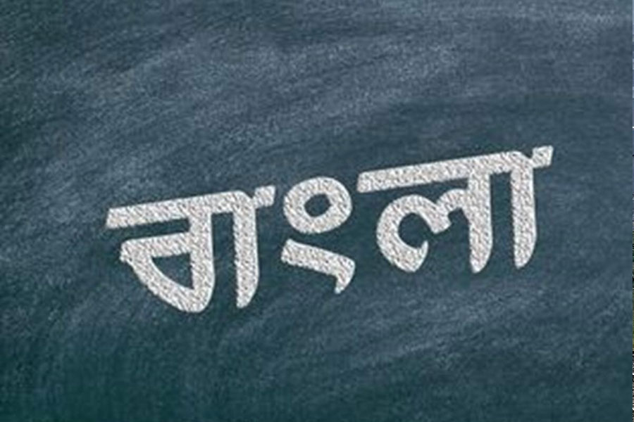 চিন্তার বৃত্তি, ভাষার সঙ্গে পেশার সংযোগ