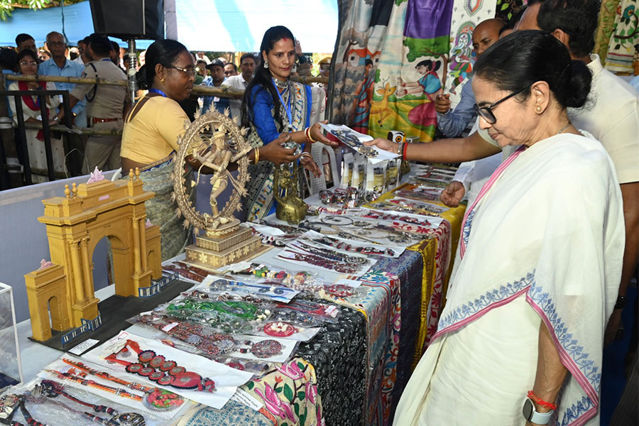 ৯ হাজারি শাড়ি কিনলেন মুখ্যমন্ত্রী, ‘স্বীকৃতি পেলাম’, আপ্লুত বর্ধমানের শিল্পীরা