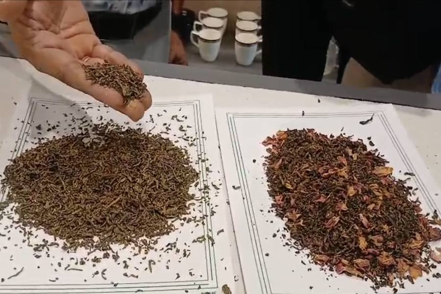চায়ে মেশানো ‘গোল্ড’, গোলাপের পাঁপড়ি! এক লাখি চা তৈরি হচ্ছে বাংলাতেই