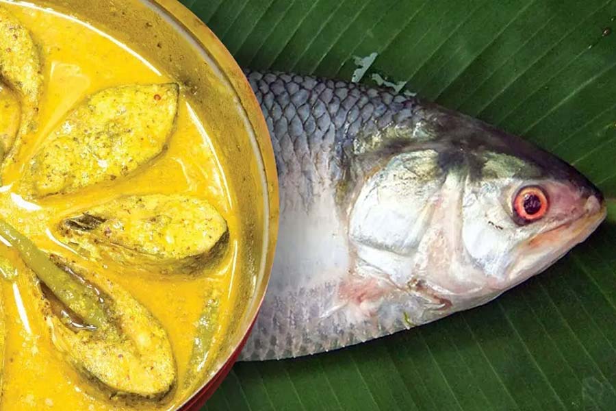 শুধু রসনা তৃপ্তি নয়, স্বাস্থ্যগুণেও ভরপুর ইলিশ! কোন কোন রোগের ঝুঁকি কমে?