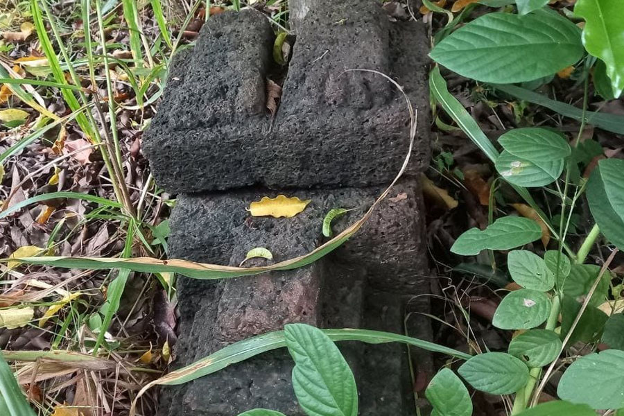 বাংলার ইতিহাস সংরক্ষণ, মিউজিয়ামে স্থান পাবে মেদিনীপুরের শিরোমণি গড়ে উদ্ধার পৌরাণিক পদচিহ্ন!