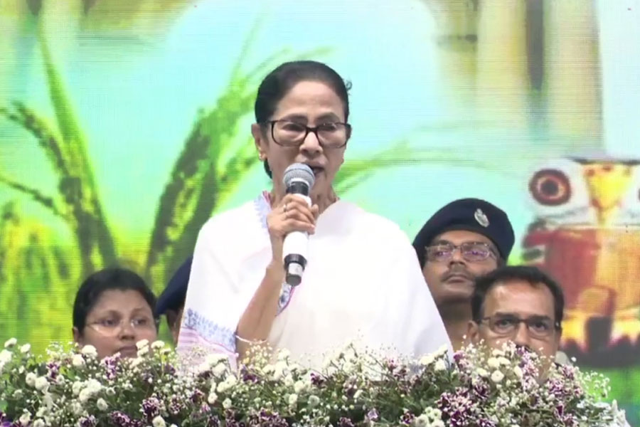 পুজোর আগে ফের উত্তরবঙ্গে মুখ্যমন্ত্রী, চা শ্রমিকদের পাট্টা বিলি-সহ একগুচ্ছ কর্মসূচি