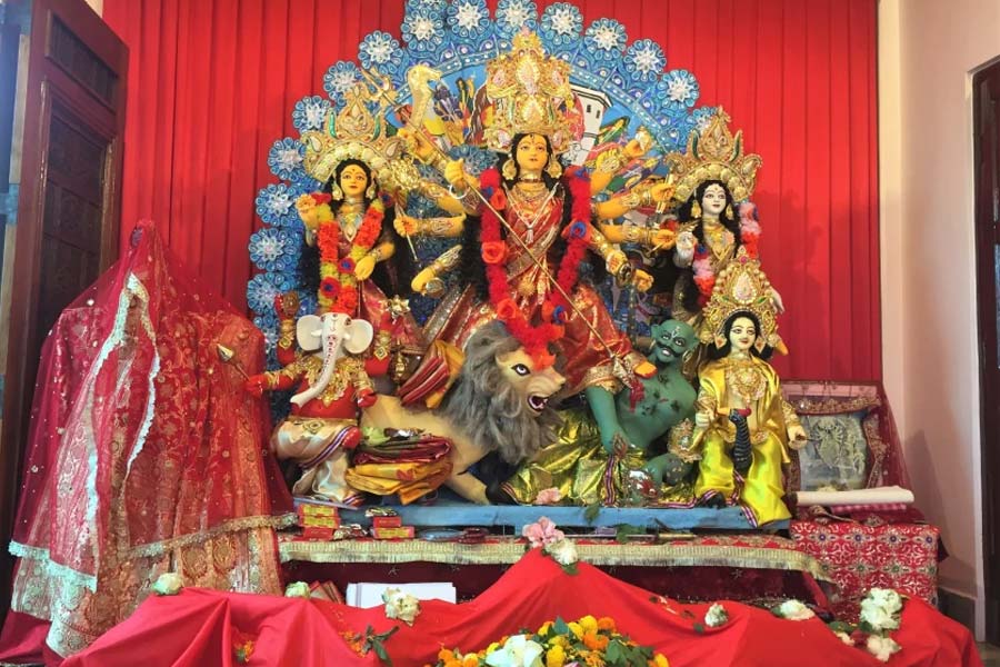 নবপত্রিকায় কোন গাছ কীসের প্রতীক? দুর্গাপুজোয় এর তাৎপর্যই বা কী?