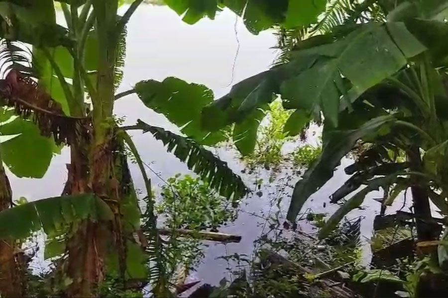 নদিয়ায় মূক-বধির শিশুকন্যার রহস্যমত্যু! বাড়ির পাশের পুকুরে উদ্ধার দেহ, নেপথ্যে মা?