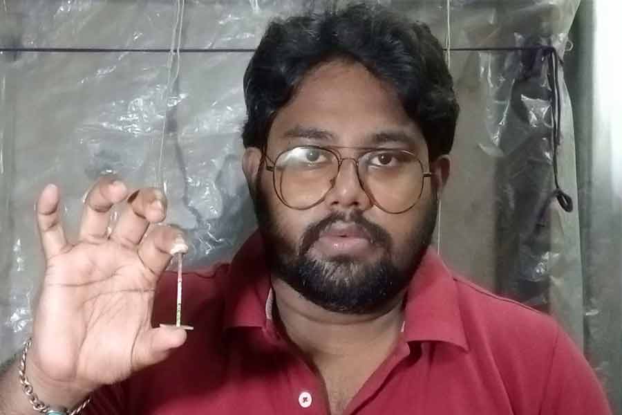 দেশলাই কাঠিতে ৩৪ জন বিপ্লবীর মুখ, মাইক্রো আর্টে তাক লাগালেন হাওড়ার শিল্পী