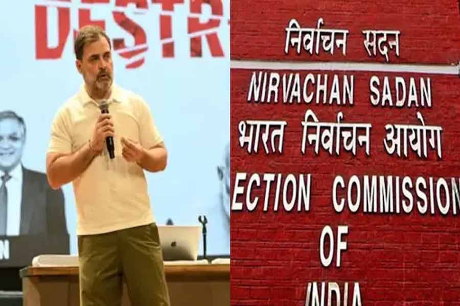 ‘ধৈর্য ধরুন ডেটা বোমা ফাটবে’, এসআইআর ‘কারচুপি’তে দ্রুত ‘প্রমাণ’ দেওয়ার দাবি রাহুলের