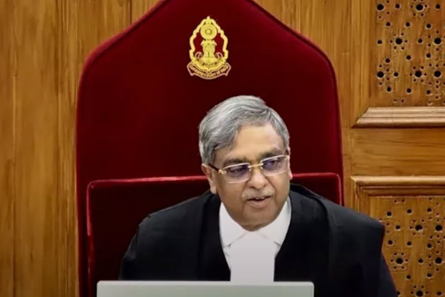 ‘বিখ্যাত করে দেওয়ার জন্য পথকুকুরদের ধন্যবাদ’, বলছেন বিতর্কিত রায় সংশোধন করা বিচারপতি