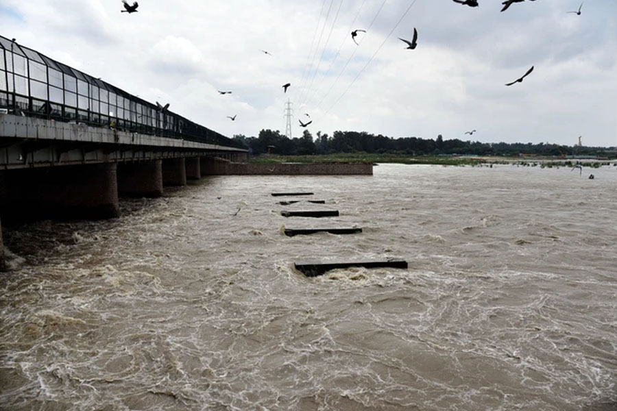 উত্তর ভারতে লাগাতার হড়পা বান, এবার ভাসবে দিল্লি? জারি সতর্কতা