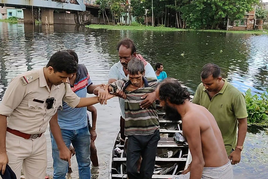 রাখে হরি মারে কে! সেতু থেকে নদীতে পড়ে কচুরিপানায় আটকে অন্ধ ব্যক্তি, ২ ঘণ্টা পর উদ্ধার