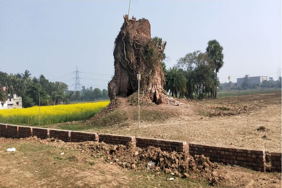 মুঘল-পাঠান ইতিহাসের সাক্ষী ৫০০ বছরের মন্দির, সংস্কারের অভাবে ধুলিসাৎ হবে রায় বাঘিনীর কীর্তি!