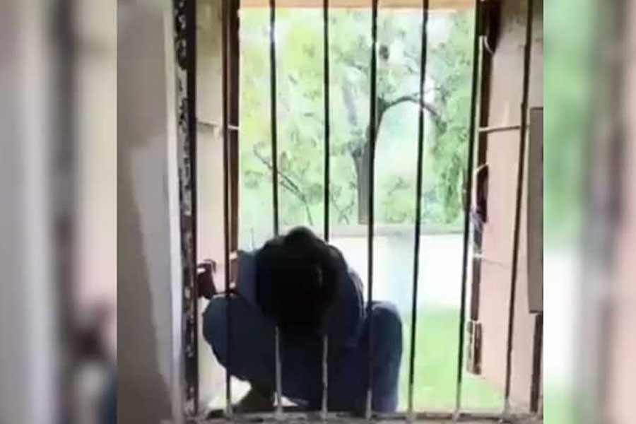ক্লাসরুম বন্ধ, জানলার ফাঁক গলে বেরতে গিয়ে আটকে গেল মাথা! সারা রাত ‘বন্দি’ দ্বিতীয় শ্রেণির ছাত্রী