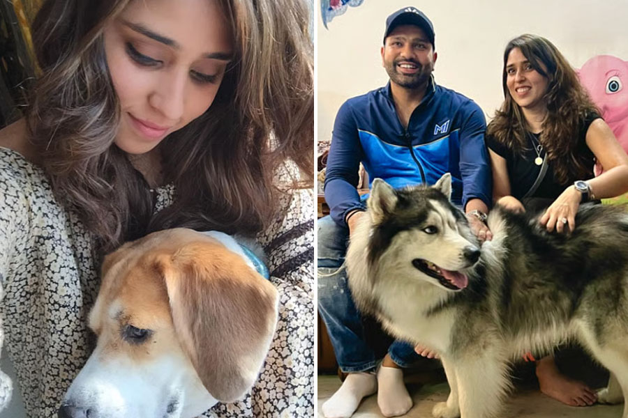 ‘স্বাধীনতা ছিনিয়ে নেওয়া হবে…’, পথকুকুরদের নিয়ে ‘সুপ্রিম’ নির্দেশে ক্ষুব্ধ রোহিত-পত্নী