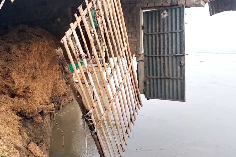 মাঝরাতে গঙ্গার গ্রাসে গোটাবাড়ি! বরাতজোরে রক্ষা পেল সামশেরগঞ্জের পরিবার