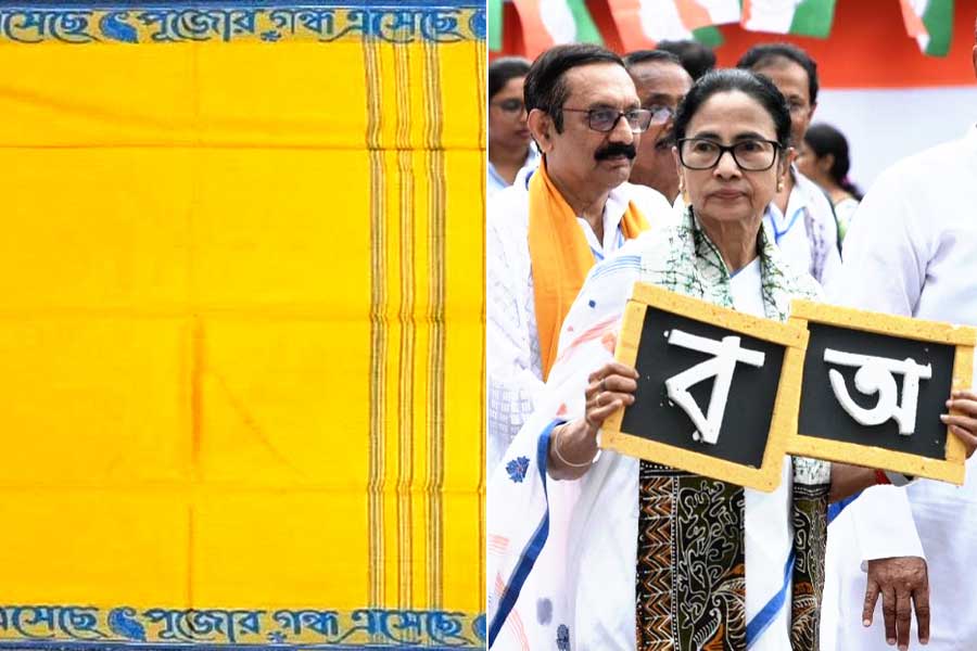 পুজোর ফ্যাশনেও ‘ভাষা আন্দোলন’, বাংলা হরফ ফুটে উঠছে শান্তিপুরের তাঁতিদের বোনা শাড়িতে