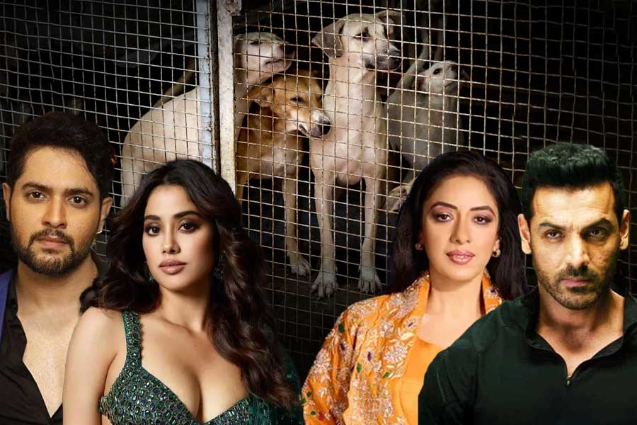 রাজধানীর রাজপথ থেকে সরানো হবে পথকুকুর, নিন্দায় মুখর টলিউড থেকে বলিউড
