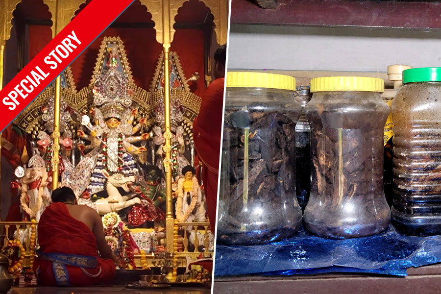 বছর বছর মা দুর্গা আসেন আচার খেতে! জানুন মিত্র বাড়ির পুজোর ইতিহাস