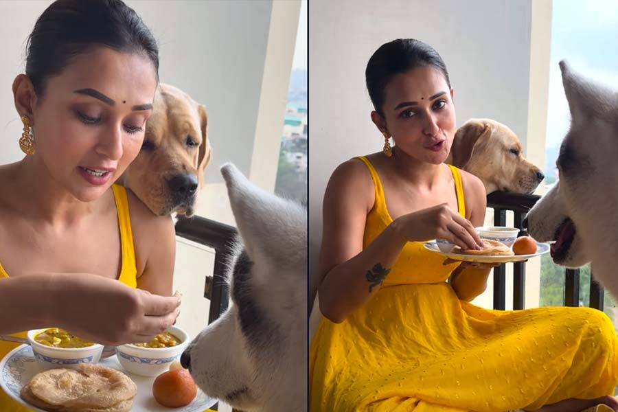 মহাষ্টমীতে ‘সন্তান’দের সঙ্গে মিমি, কবজি ডুবিয়ে লুচি-ছোলার ডাল মিষ্টিতে উদরপূর্তি, পোস্ট করলেন ভিডিও