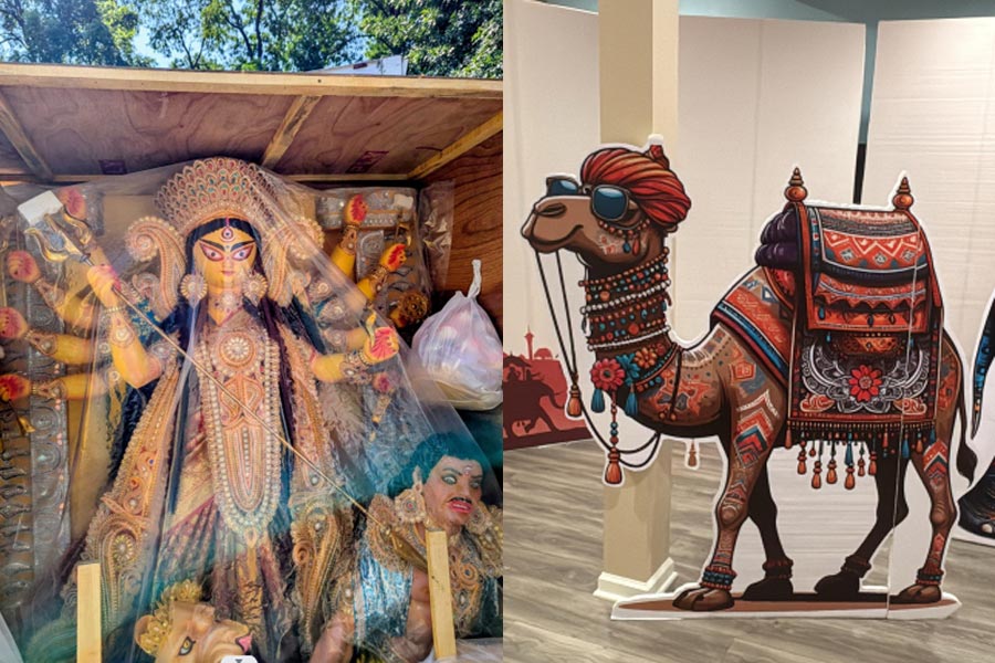 নিউ জার্সির বুকে রাজকীয় রাজস্থান! প্রতিমা আসবে কুমোরটুলি থেকে