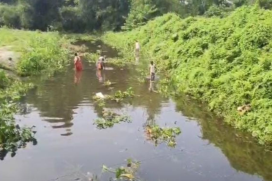 উপার্জনের লক্ষ্য নদীতে বিষ মিশিয়ে মাছ মারছে অসাধু ব্যবসায়ীরা! উদ্বিগ্ন পরিবেশপ্রেমীরা