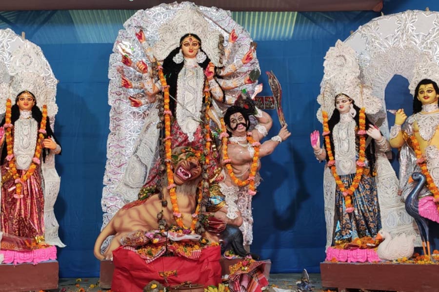 পুজোর আনন্দ দ্বিগুণ হবে জঙ্গল সাফারিতে! দু’হাত বাড়িয়ে আপনাকে ডাকছে গরুমারা