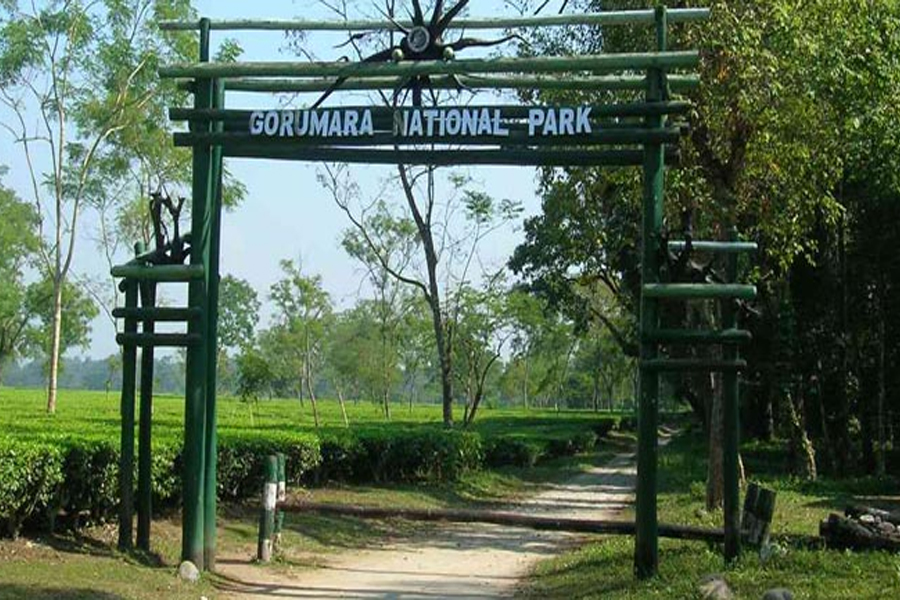 হাতিদের স্নান, আদিবাসী নাচ, পুজোয় পর্যটক টানতে অভিনব আয়োজন গরুমারায়