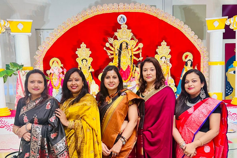 আমেরিকাতেও কাশফুলে শরতের আগমনী! নিউ জার্সির পুজোয় বন্ধুদের সঙ্গে চলে প্যান্ডেল হপিং