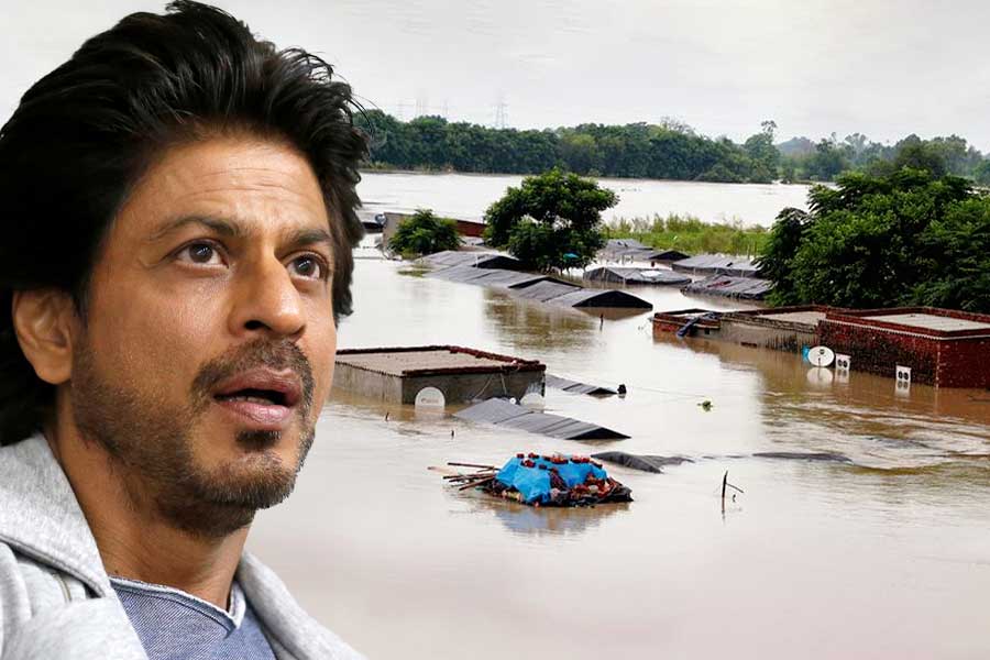বন্যাবিধ্বস্ত পাঞ্জাবের জন্য মন কাঁদছে শাহরুখের, ‘মনোবল যেন না ভাঙে’, বার্তা কিং খানের