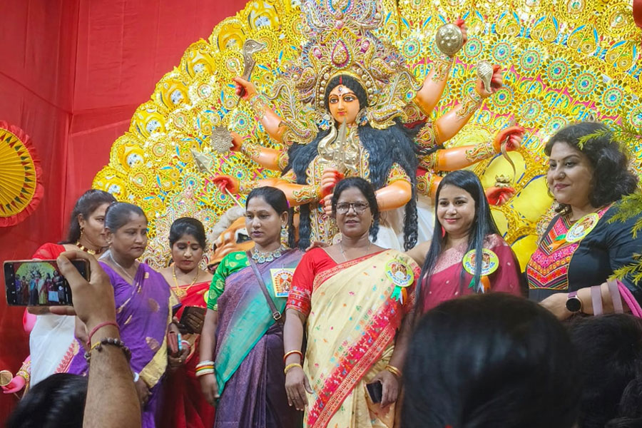 সোনাগাছির দুর্গাপুজো! দেবীর আরাধনার পাশাপাশি অধিকারের লড়াইয়েরও ১৩ বছর