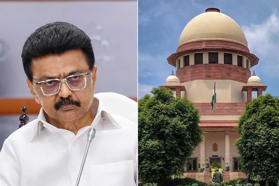‘জনতার টাকায় মূর্তি প্রতিষ্ঠা নয়’, স্ট্যালিন সরকারের পরিকল্পনায় দাঁড়ি টানল সুপ্রিম কোর্ট